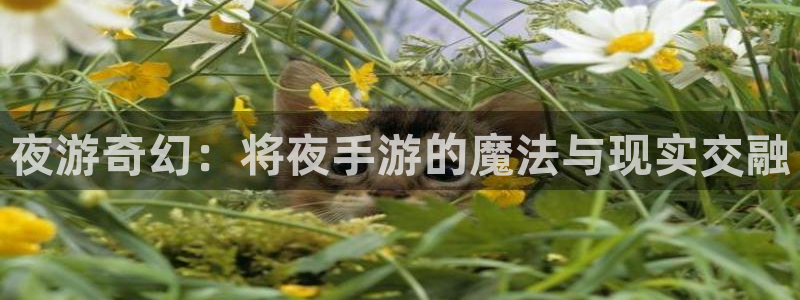 三牛娱乐挂机软件下载：夜游奇幻：将夜手游的魔法与现实交融