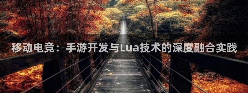 三牛娱乐登录：移动电竞：手游开发与Lua技术的深度融合实践
