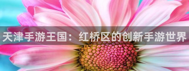 三牛娱乐如何注册：天津手游王国：红桥区的创新手游世界