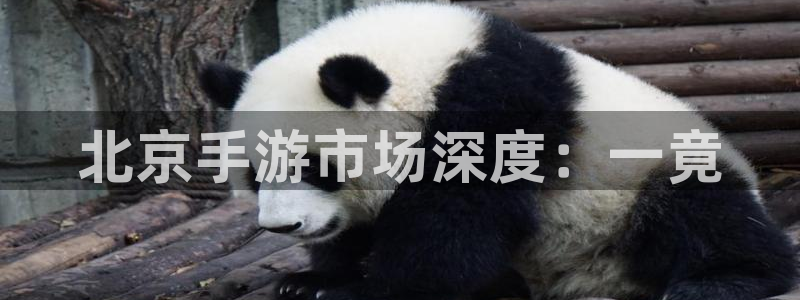 三牛娱乐是网络诈骗平台吗安全吗：北京手游市场深度：一竟
