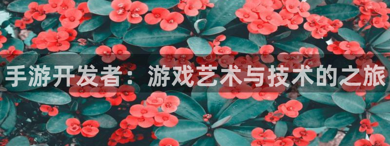 三牛娱乐测速系统app：手游开发者：游戏艺术与技术的之旅