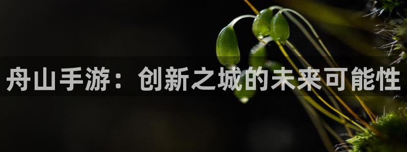 三牛娱乐官网登录入口下载苹果：舟山手游：创新之城的未来可能性