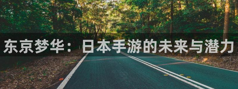 三牛公司：东京梦华：日本手游的未来与潜力