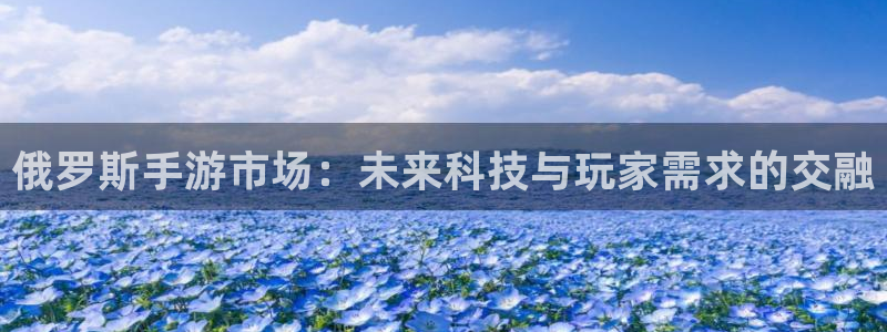 三牛娱乐挂机：俄罗斯手游市场：未来科技与玩家需求的交融