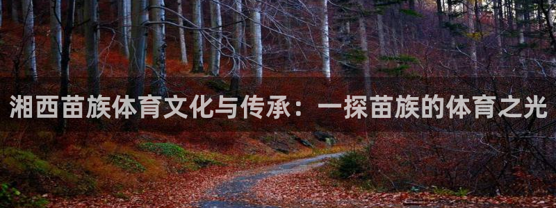 ug环球官网登录入口：湘西苗族体育文化与传承：一探苗族的体育之光