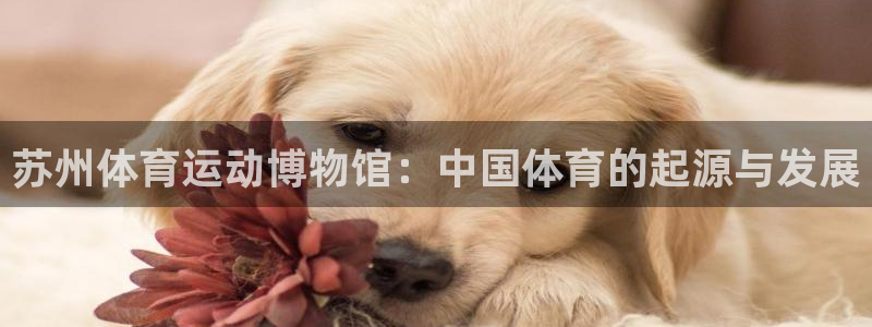 ug环球官网：苏州体育运动博物馆：中国体育的起源与发展