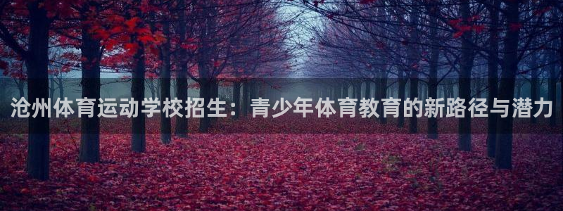 菲律宾ug环球官网：沧州体育运动学校招生：青少年体育教育的新路径与潜力