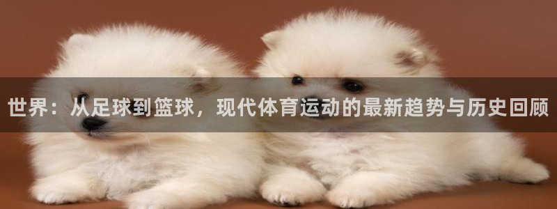 ug环球官网登录入口：世界：从足球到篮球，现代体育运动的最新趋势与历史回顾