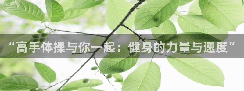 菲律宾ug环球官网：“高手体操与你一起：健身的力量与速度”
