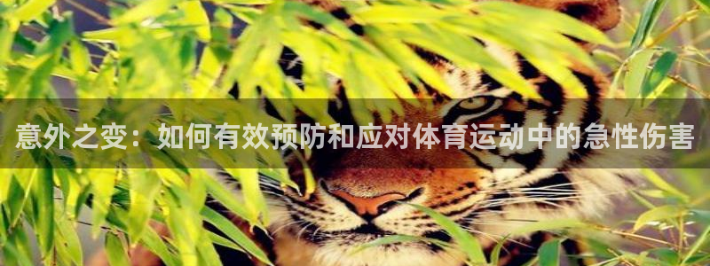 菲律宾ug环球官网