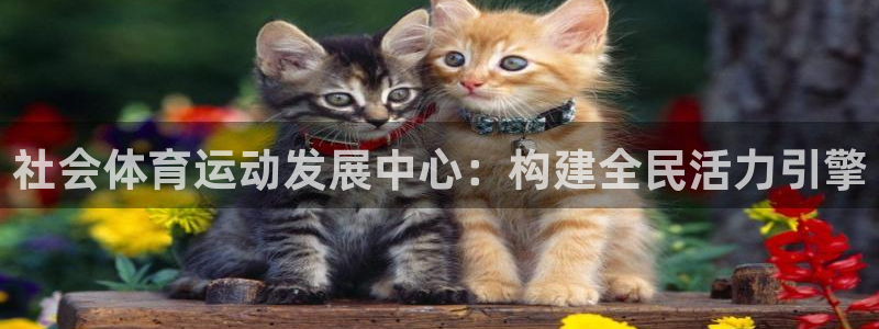菲律宾ug环球官网：社会体育运动发展中心：构建全民活力引擎