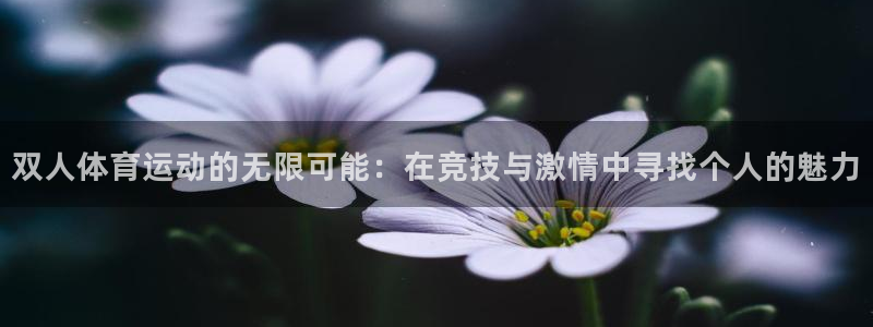 ug环球官网：双人体育运动的无限可能：在竞技与激情中寻找个人的魅力