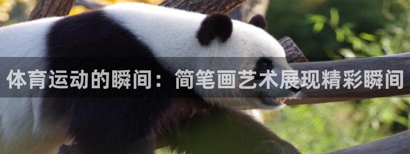 ug环球官网注册：体育运动的瞬间：简笔画艺术展现精彩瞬间