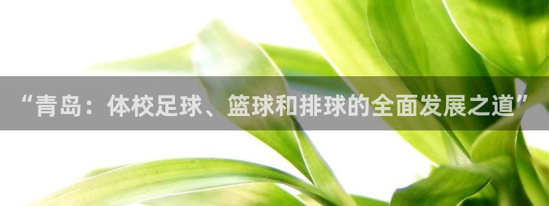 ug环球官网注册：“青岛：体校足球、篮球和排球的全面发展之道”